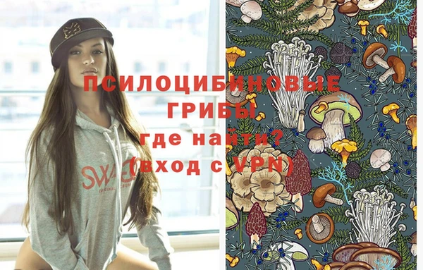 a pvp Арсеньев