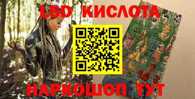 эйфоретик Кудрово