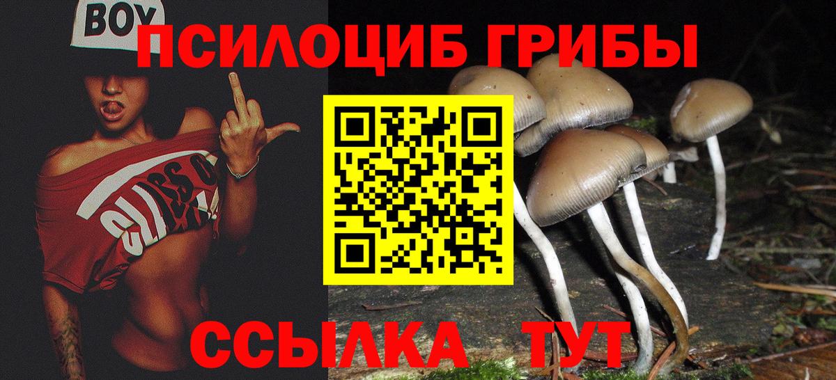Галлюциногенные грибы Magic Shrooms Георгиевск